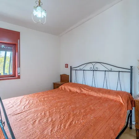 Salvo * パキーノ